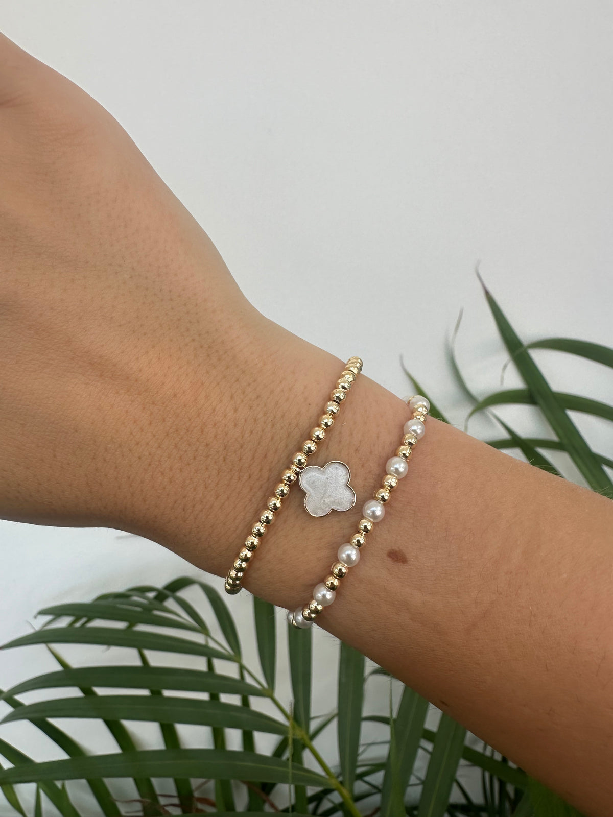 Gold Clover