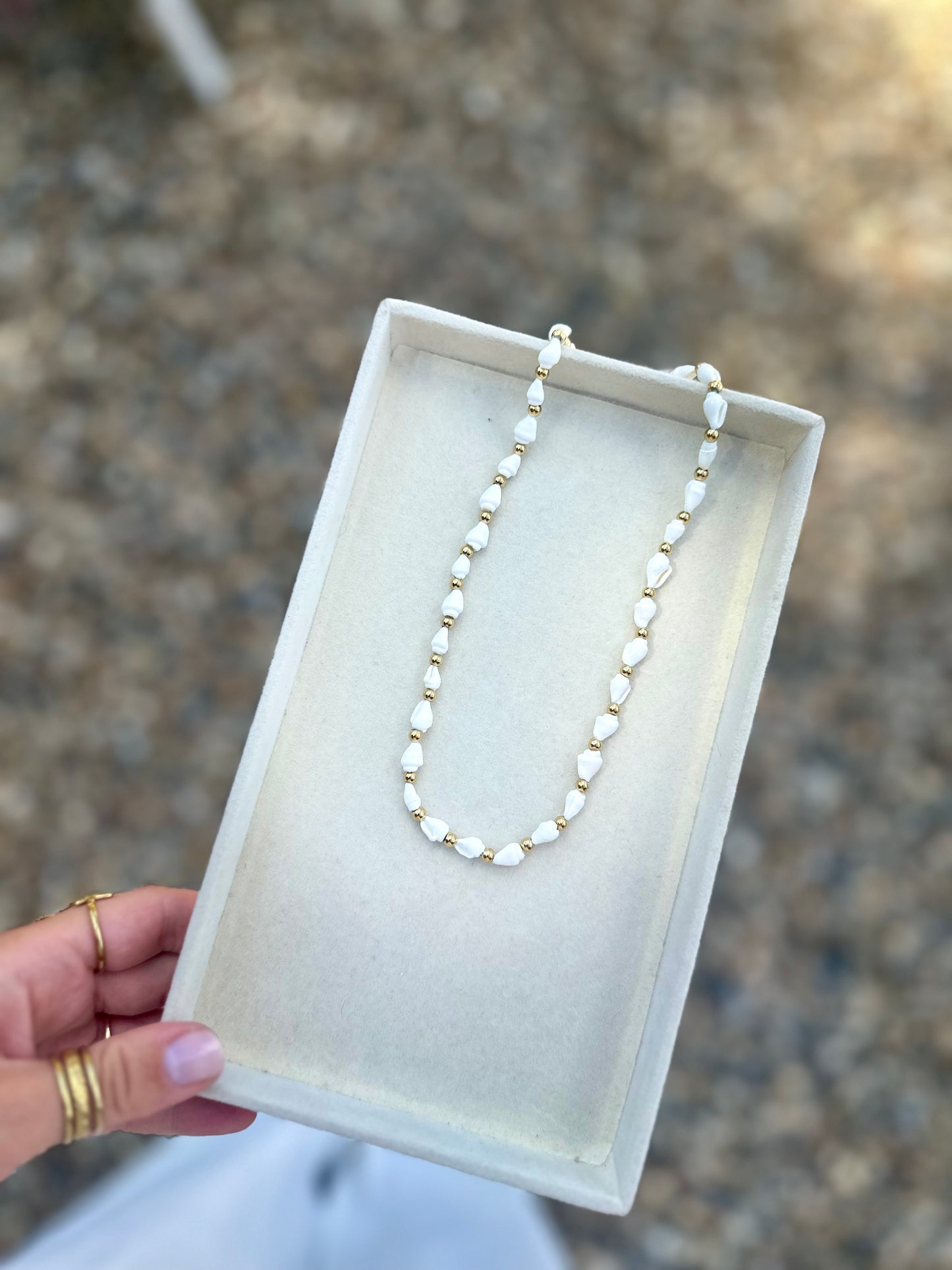 Pearl Shells and Gold Necklace Chain