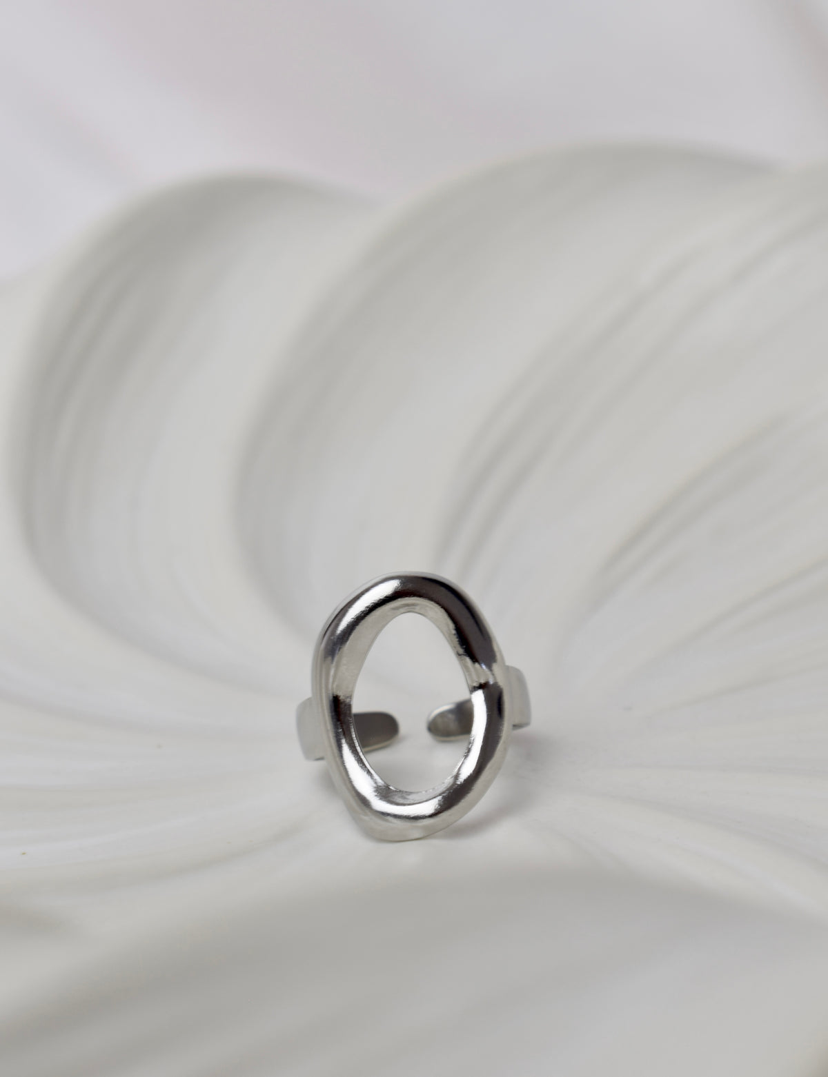 O Ring Silver