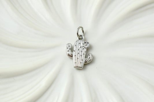 Silver Catus Charm