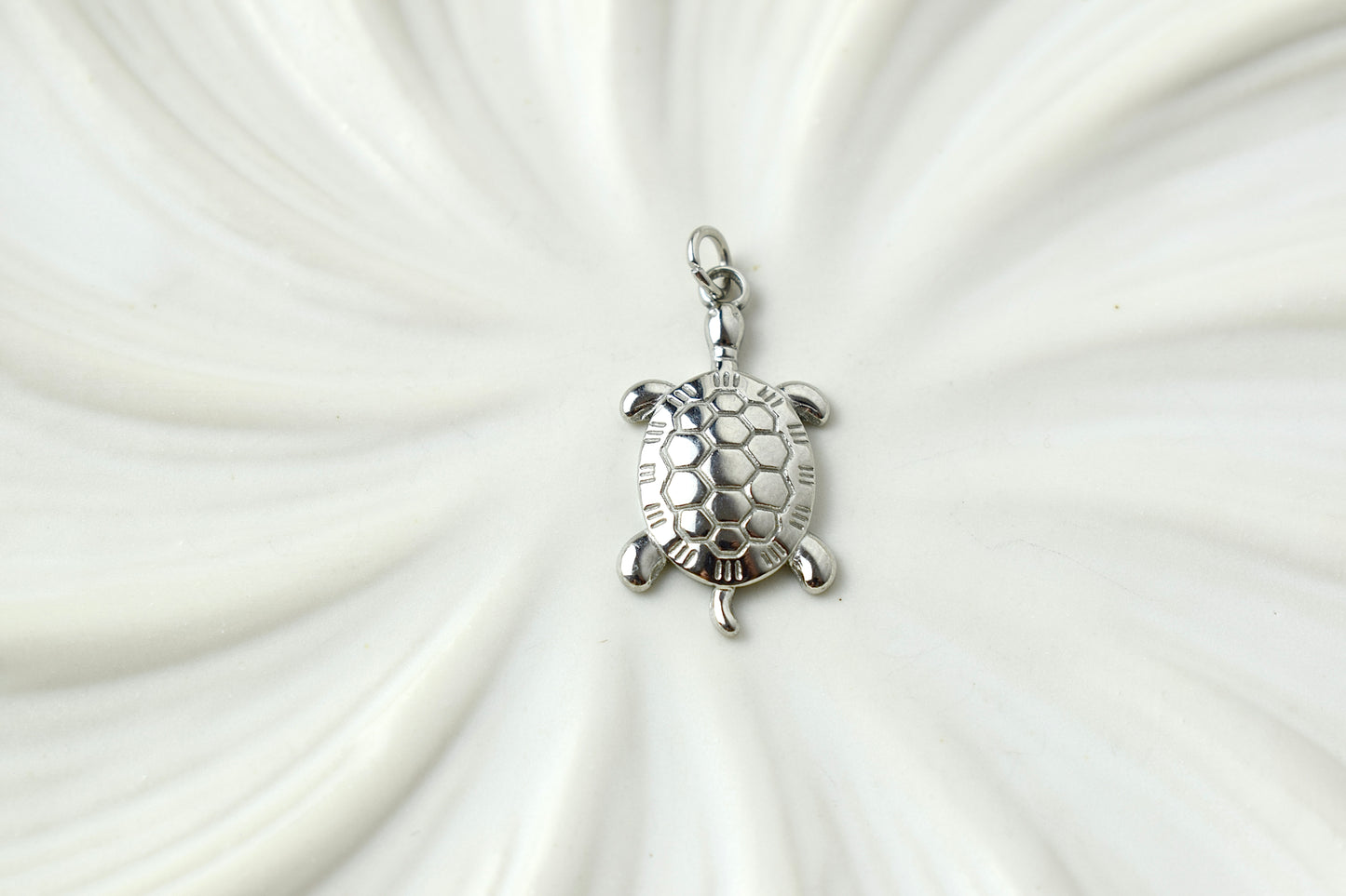 Turtles Silver