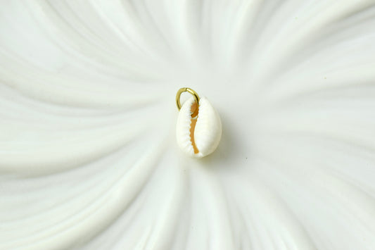 White Shell Gold