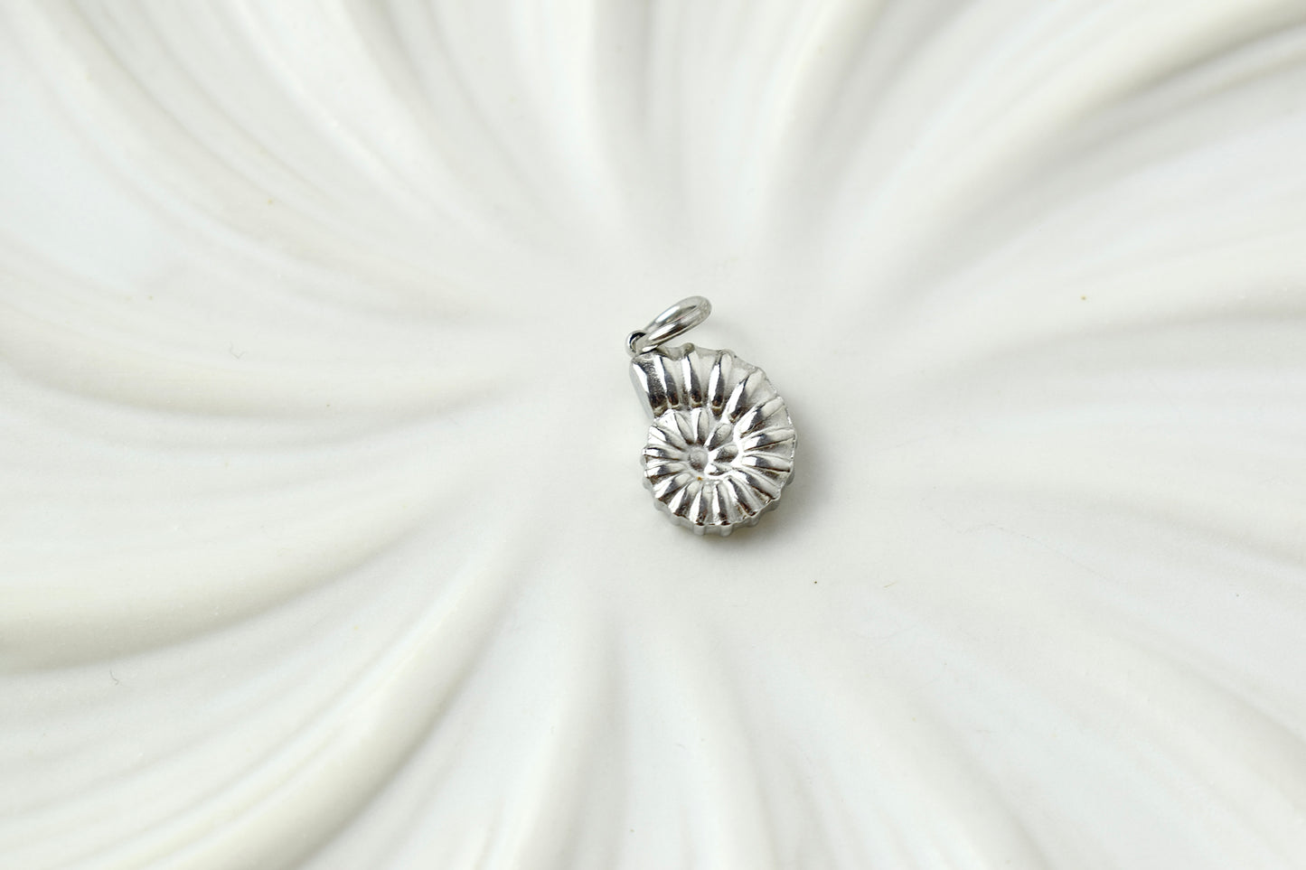 Shells Silver